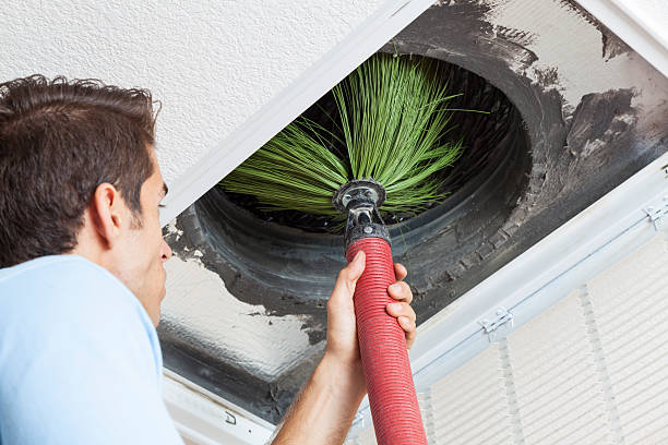 Best Duct Cleaning for Offices  in Millwood, WA